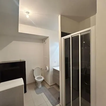 Apartment Equipe, Gare A 3km Entre Versailles Et Sqy Guyancourt